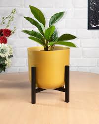 Planter Pot